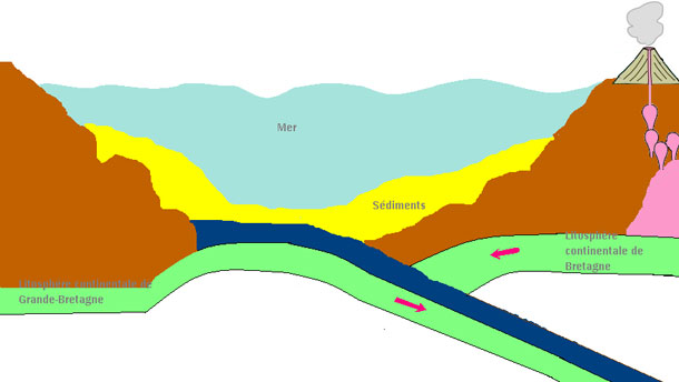 schema