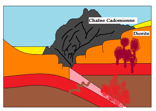 schema